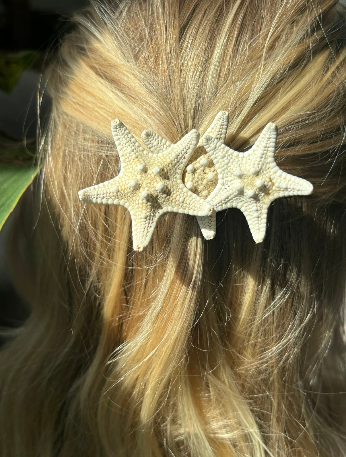 Triple Starfish Barrette