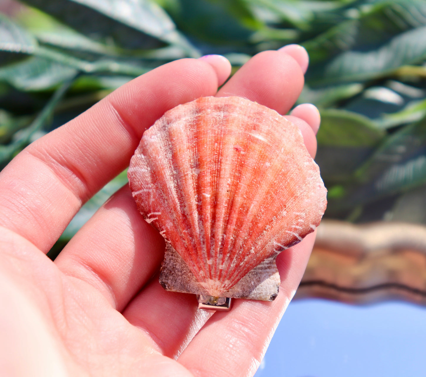 Mermaid’s Crown Barrette