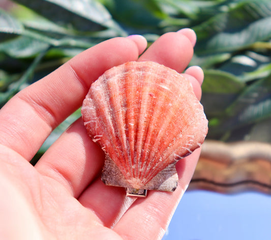 Mermaid’s Crown Barrette