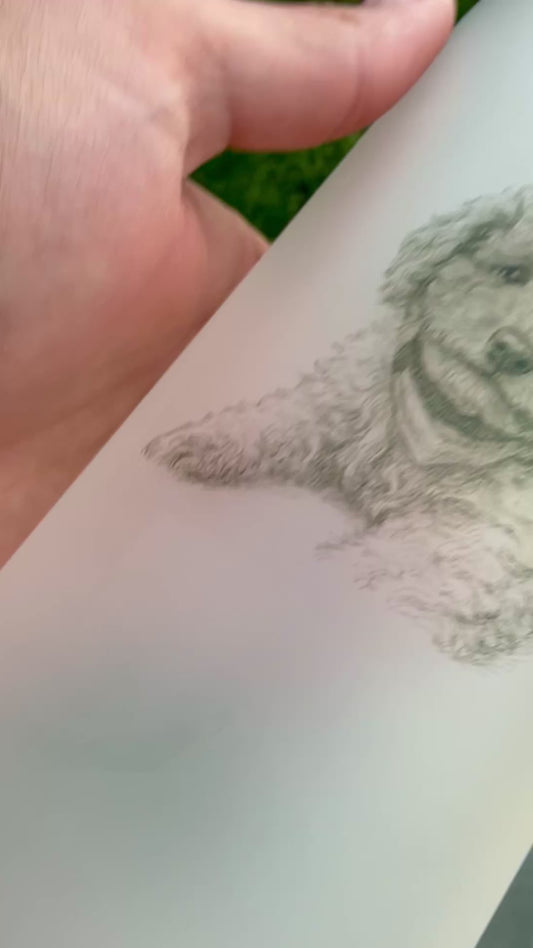 Animal Sketch Glass Can